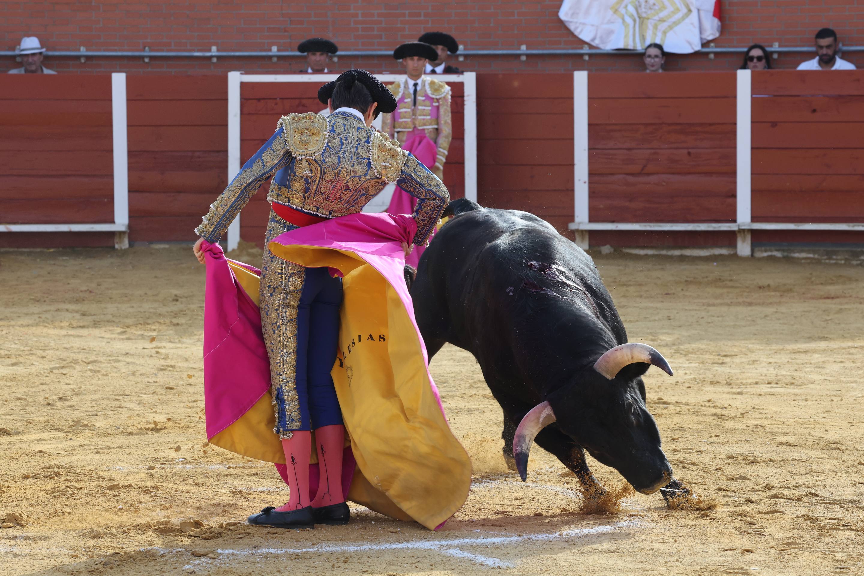 La novillada en Nava del Rey, en imágenes