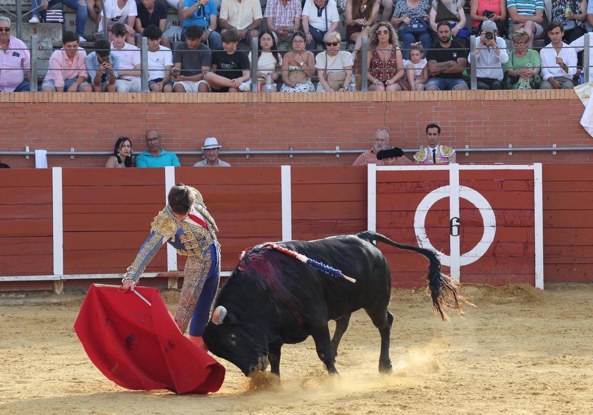 La novillada en Nava del Rey, en imágenes