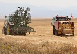 Maquinaria agrícola realiza labores en un cultivo de la provincia durante la cosecha.