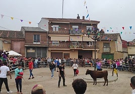Suelta de vaquillas en la plaza de San Pedro en las fiestas del año pasado