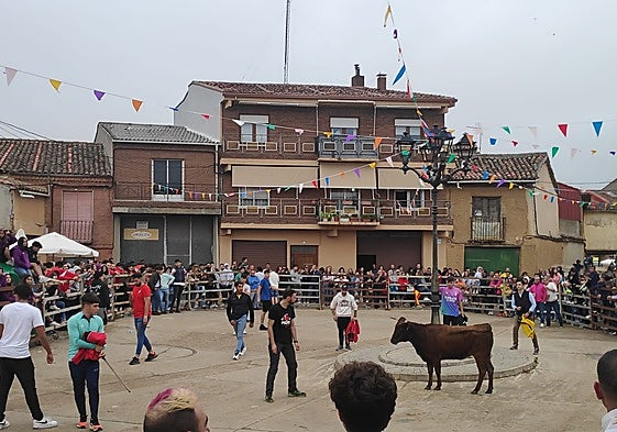 Suelta de vaquillas en la plaza de San Pedro en las fiestas del año pasado