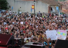 Público durante el concierto.