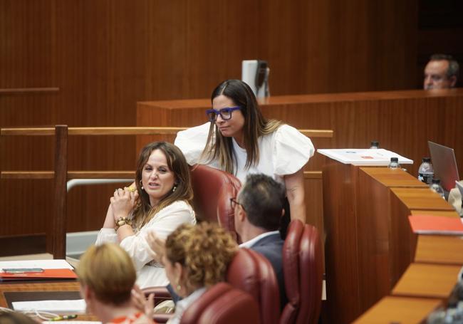 Nuria Rubio recibe el saludo afectuoso de su portavoz, Patricia Gómez, tras su intervención en el debate de la ley.