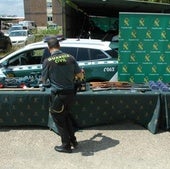 Material intervenido de la Guardia Civil para desarticular el grupo organizado.
