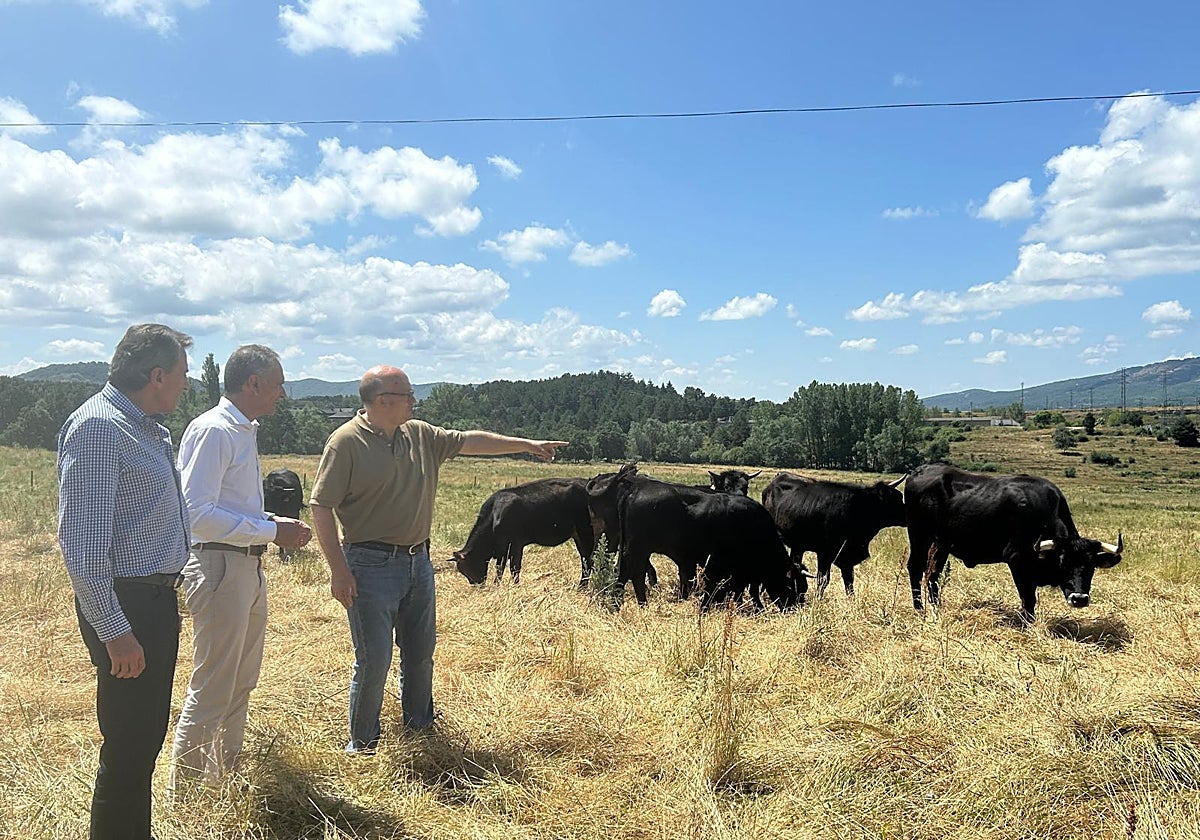 Visita institucional al Centro de Selección y Reproducción Animal.