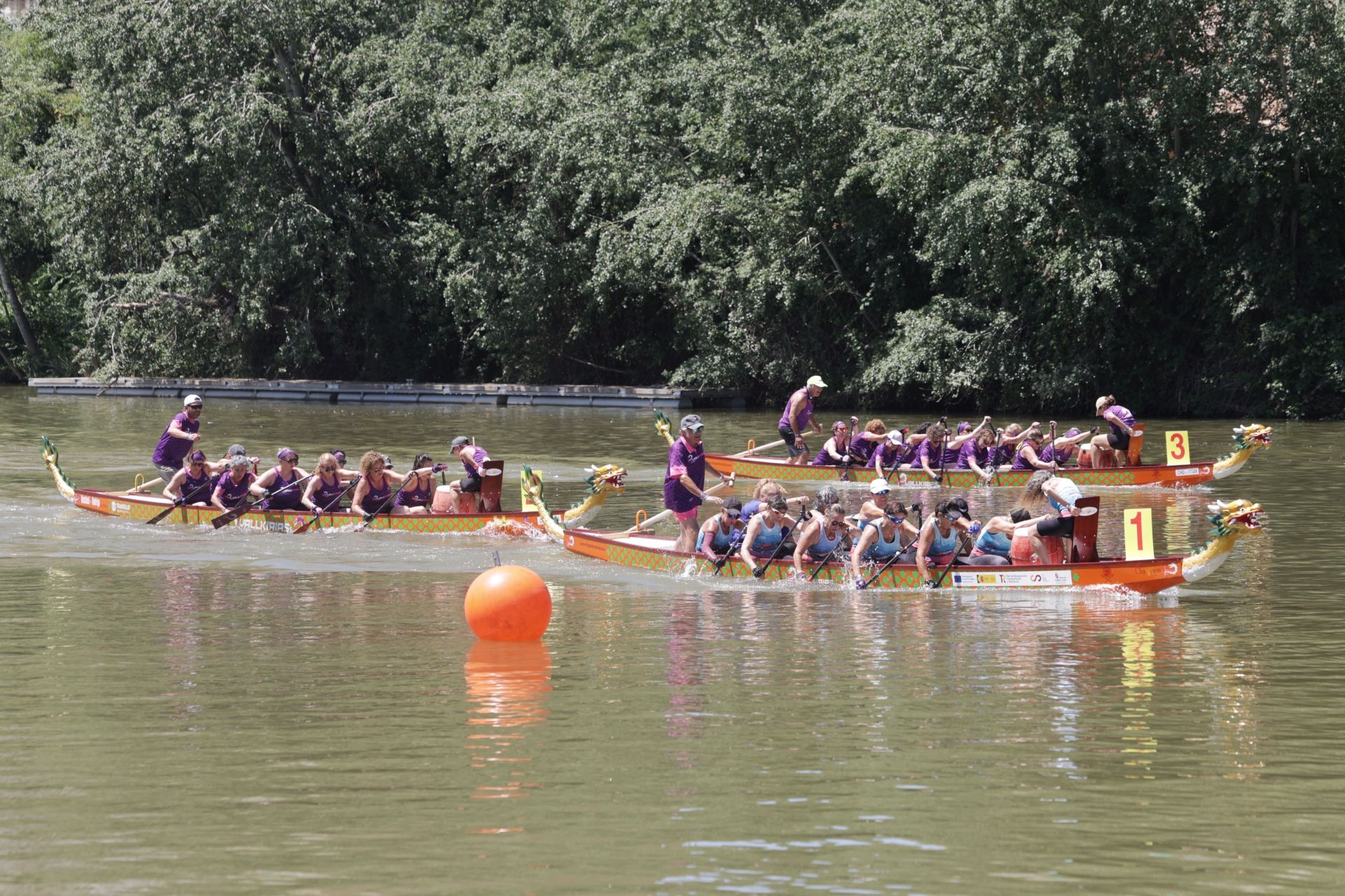 Las imágenes de las Valkirias en el Pisuerga a ritmo de la modalidad Dragon Boat