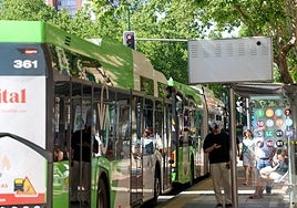 Dos autobuses urbanos en una de las paradas de la capital.