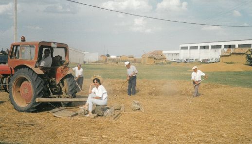 Trilla en la era.