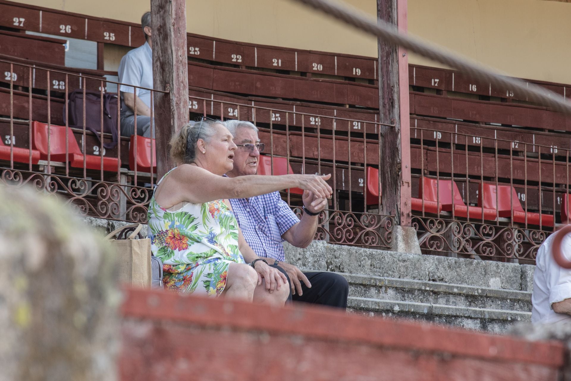 Búscate en los toros durante la corrida en Segovia