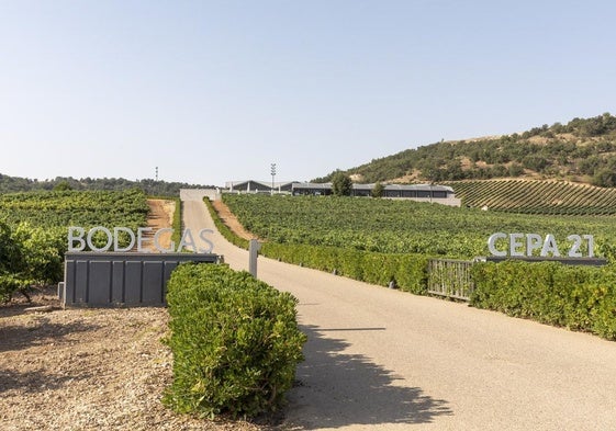 Entrada a las Bodegas Cepa 21.