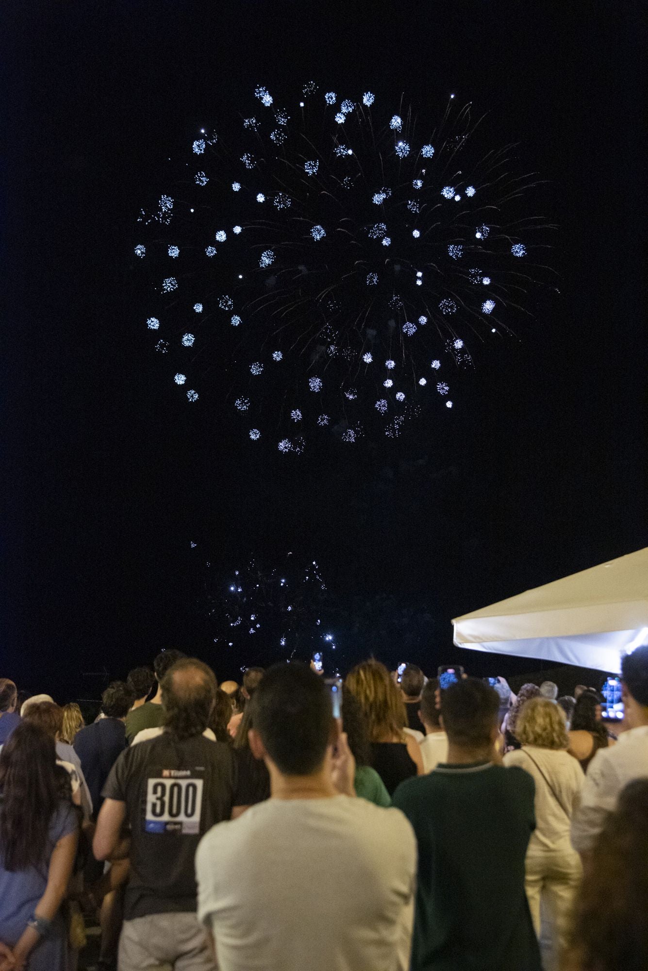 Fotos del espectáculo de fuegos artificiales en Segovia