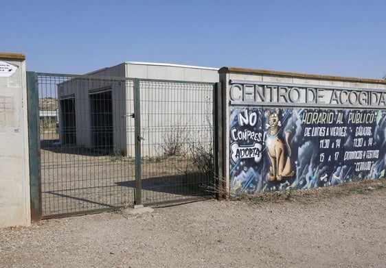 Instalaciones del centro de acogida de animales de Palencia, todavía con el logotipo de Scooby.