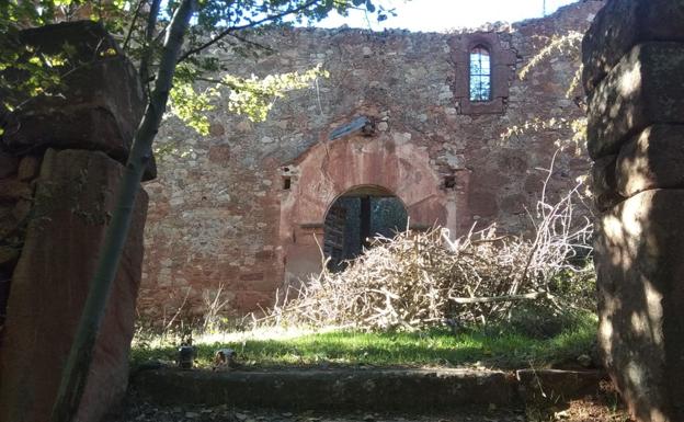 La vegetación se ha adueñado de los restos del templo de Santa Catalina en Manzanares (Soria).