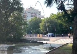 El llamativo 'géiser' sobre el carril bici de Isabel la Católica opr la salida de agua de un tubo de riego antes del cruce con Poniente en una escena grabada por el concejal del PSOE Luis Vélez.