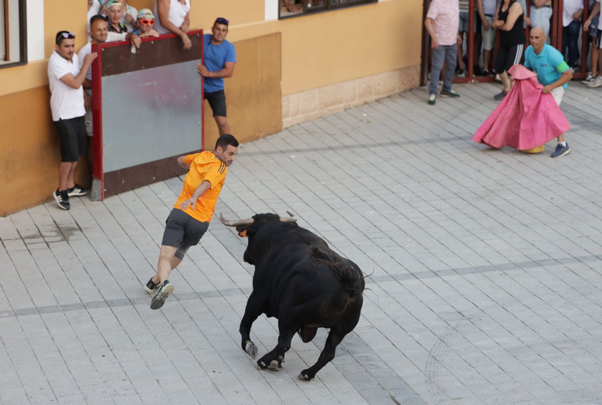 El Toro del cajón de Traspinedo, en imágenes