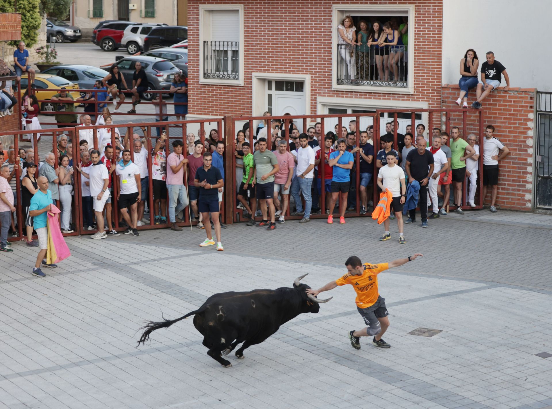 El Toro del cajón de Traspinedo, en imágenes