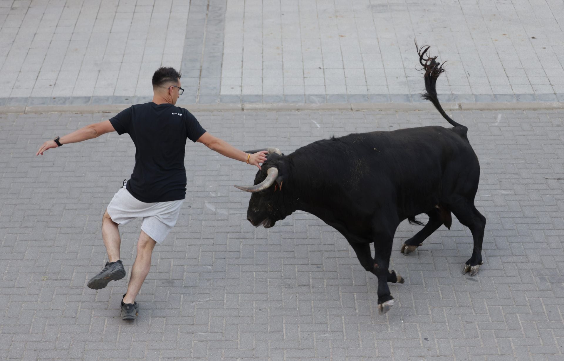 El Toro del cajón de Traspinedo, en imágenes