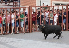 El Toro del cajón de Traspinedo, en imágenes