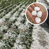 Granizo tras el temporal de ayer en el Valle de Esgueva.
