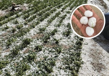 Castroverde de Cerrato pide ser declarada zona catastrófica tras la granizada: «Fueron 20 minutos de desastre»