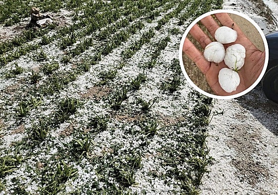 Granizo tras el temporal de ayer en el Valle de Esgueva.