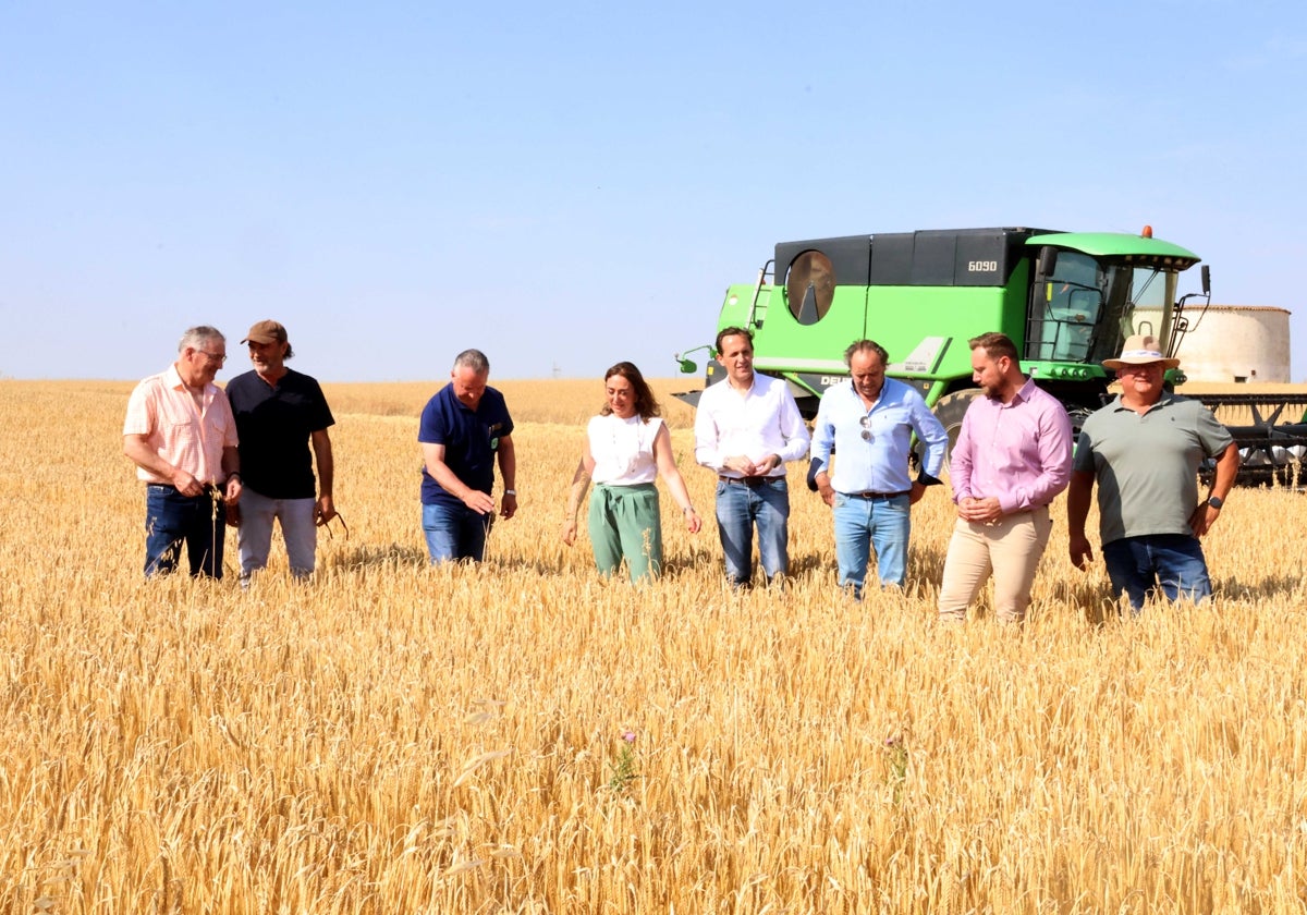 Presentación de la cosecha de cereal 2025 en Mayorga de Campos.