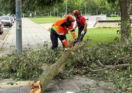 Imágenes de bomberos retirando árboles.