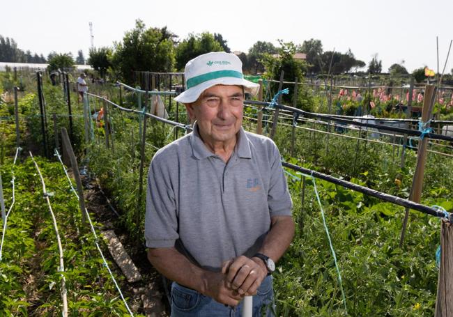 Alfonso Negredo sonríe junto a los tomates.