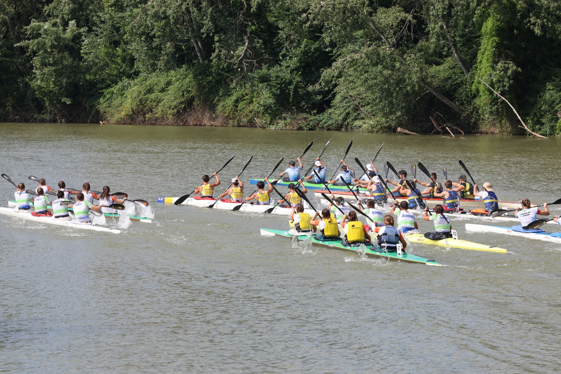 Las imágenes de la Regata Internacional K4 celebrada en aguas del Pisuerga