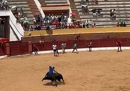 Momento de la cogida.