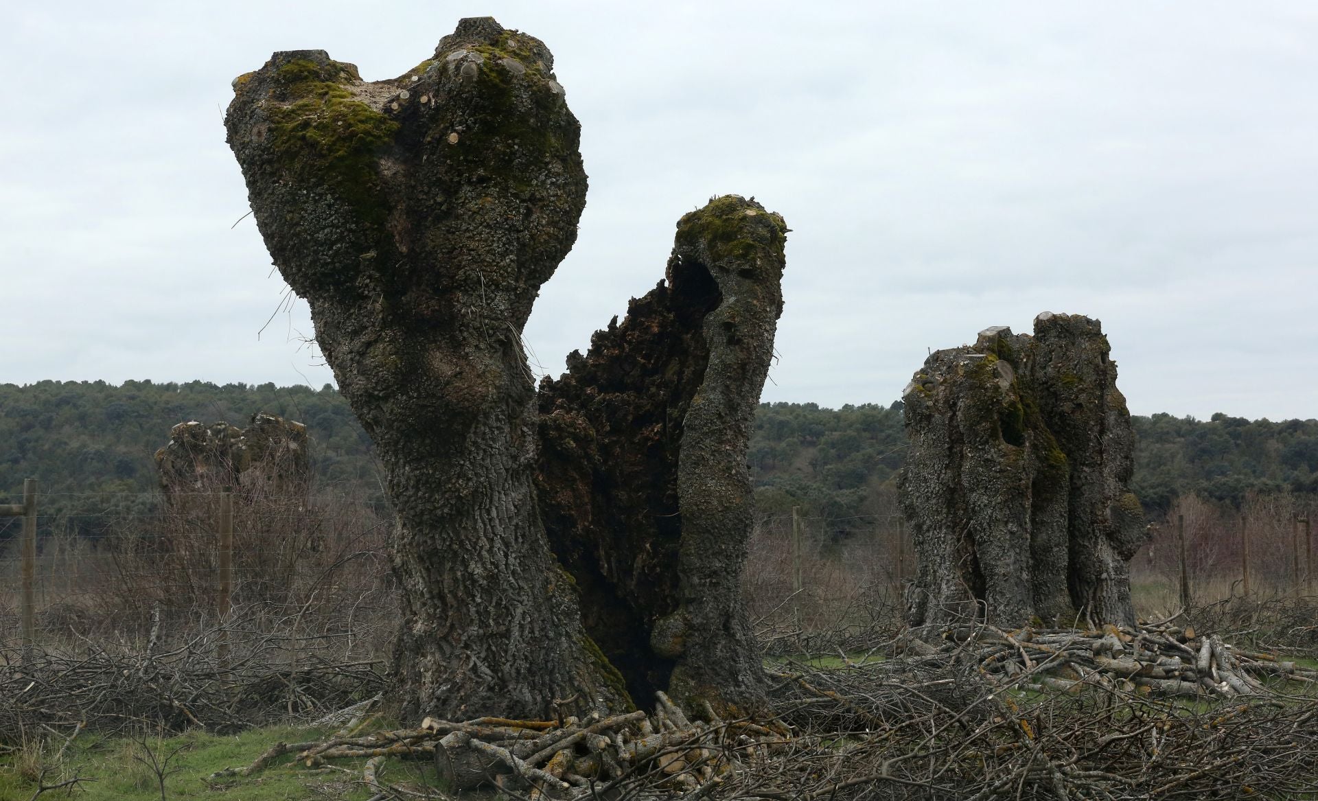 El atractivo turístico del Palacio de Riofrío, en imágenes