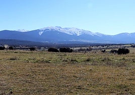 Terrenos del sector conocido como Prado del Hoyo con la sierra de fondo.