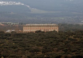 Vista general del Palacio de Riofrío, rodeado de bosque.