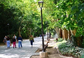 Vista del paseo central del Campo Grande de Valladolid.