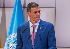 Pedro Sánchez, en una anterior comparecencia.
