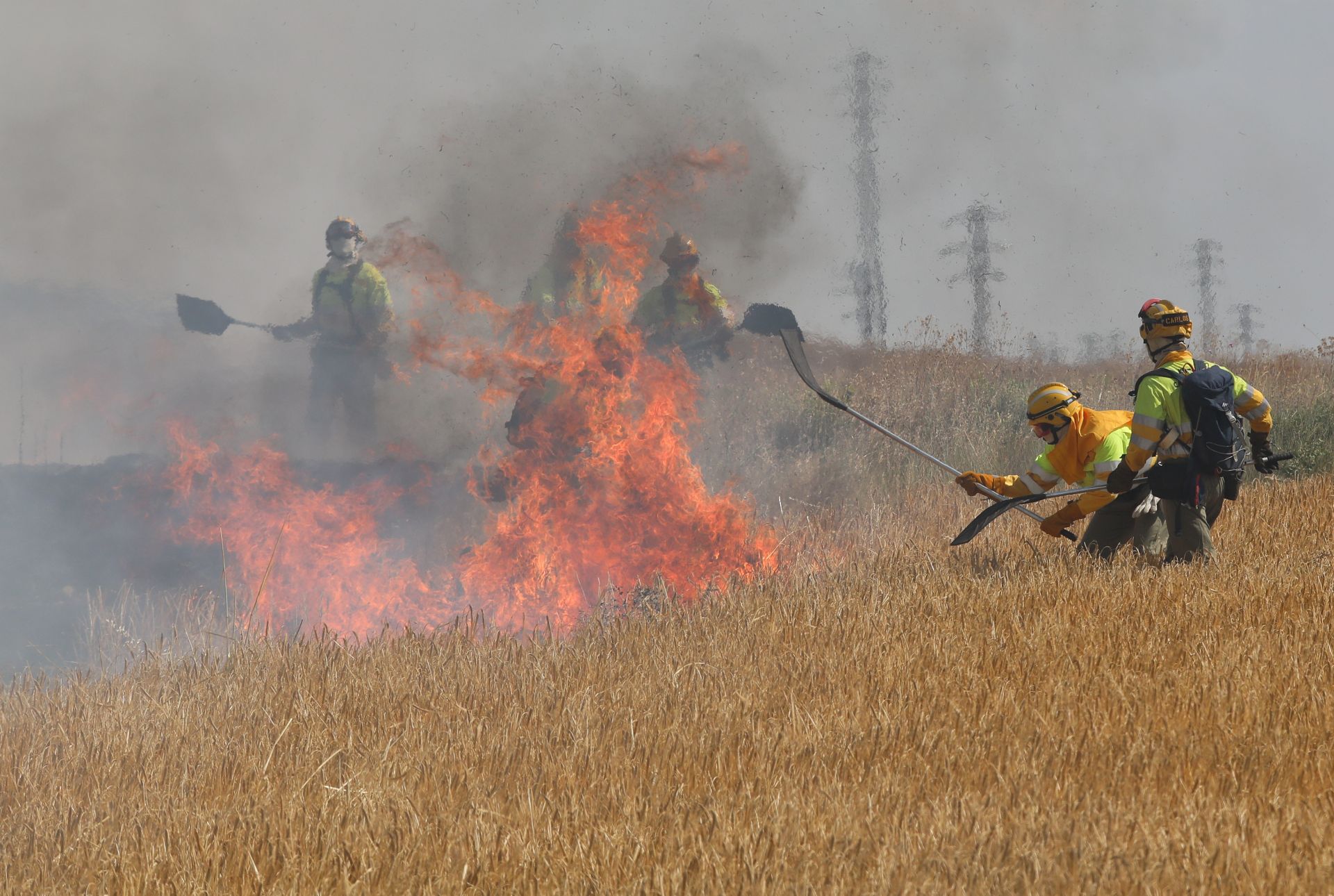 Así ha sido el incendio en las tierras agrícolas de Villalobón