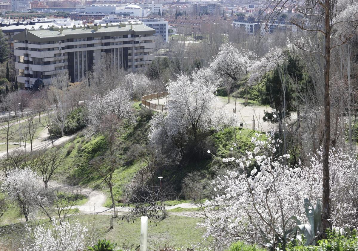 Vista del parque del Mediodía en Parquesol.