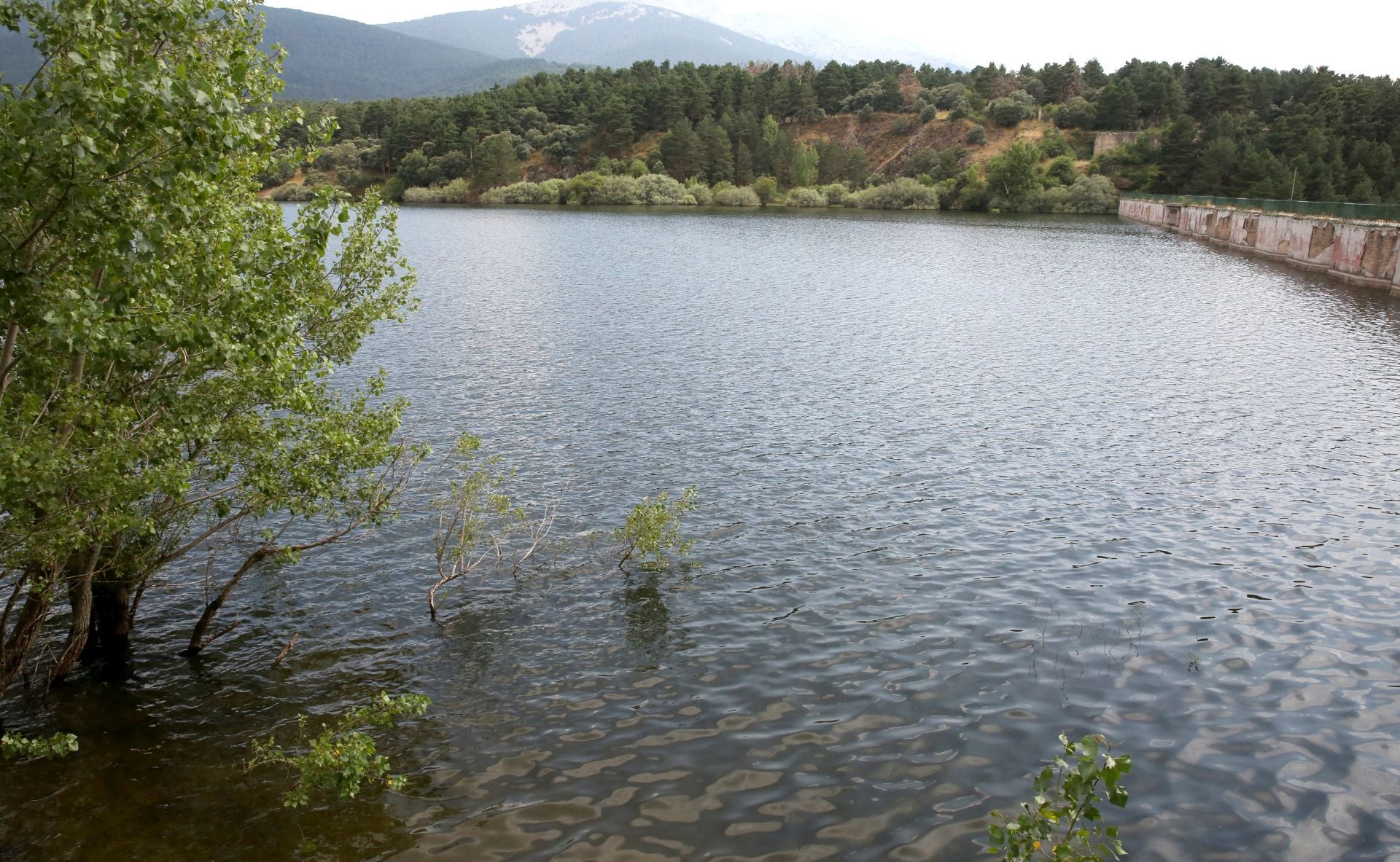 Estado del embalse de Puente Alta, en Revenga.