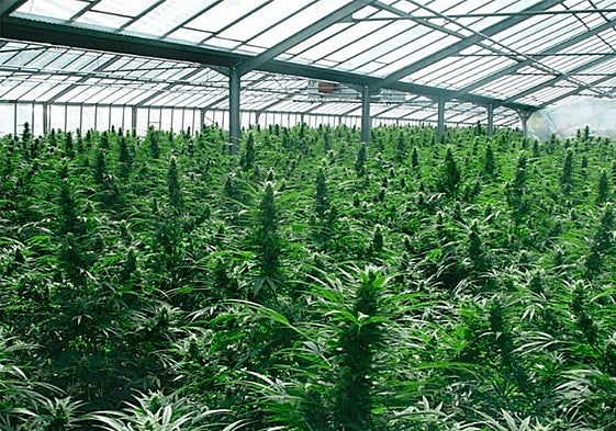 Instalaciones de Ondara en Garray.