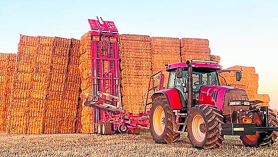 La buena cosecha y el remanente acumulado hacen que caiga el precio de la paja