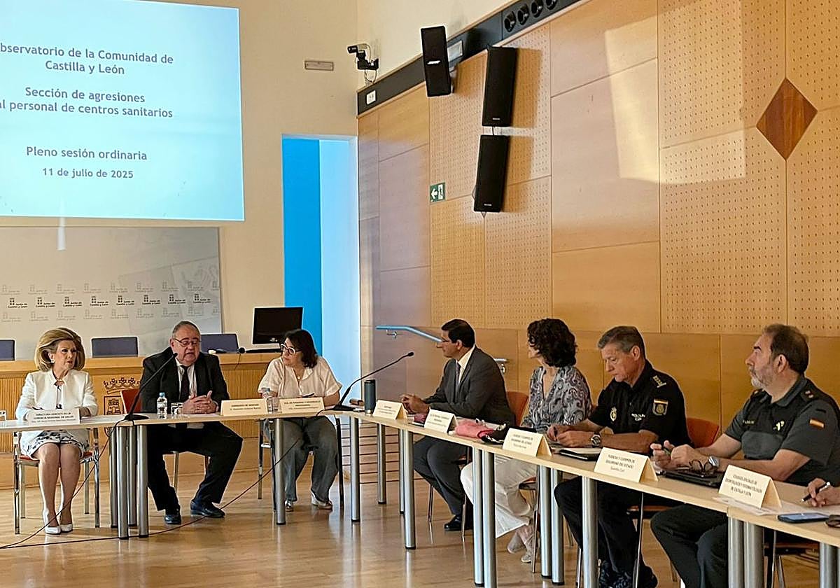 Reunión de la Sección de Agresional al personal de centros sanitarios del Observatorio de la comunidad celebrada este viernes.