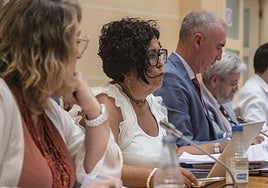 Rosalía Serrano, durante un Pleno del Ayuntamiento de Segovia.