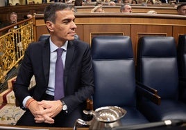 El presidente del Gobierno, Pedro Sánchez.