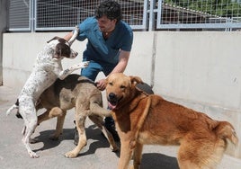 El responsable de Ruralvet, Adrián Bermejo, juega con algunos de los perros.