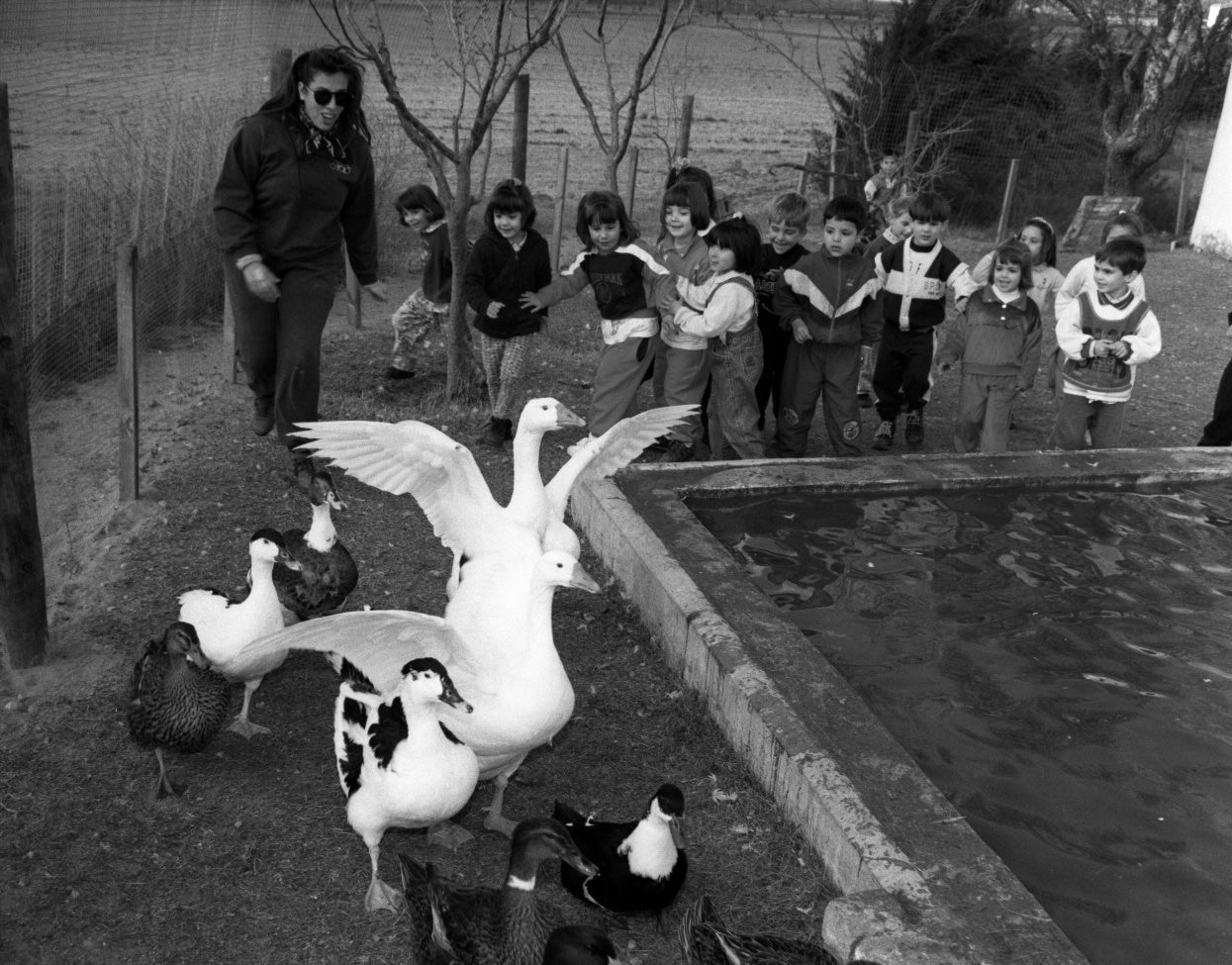Un grupo de niños en la Granja Escuela El viejo chopo. 25 de febrero de 1997.