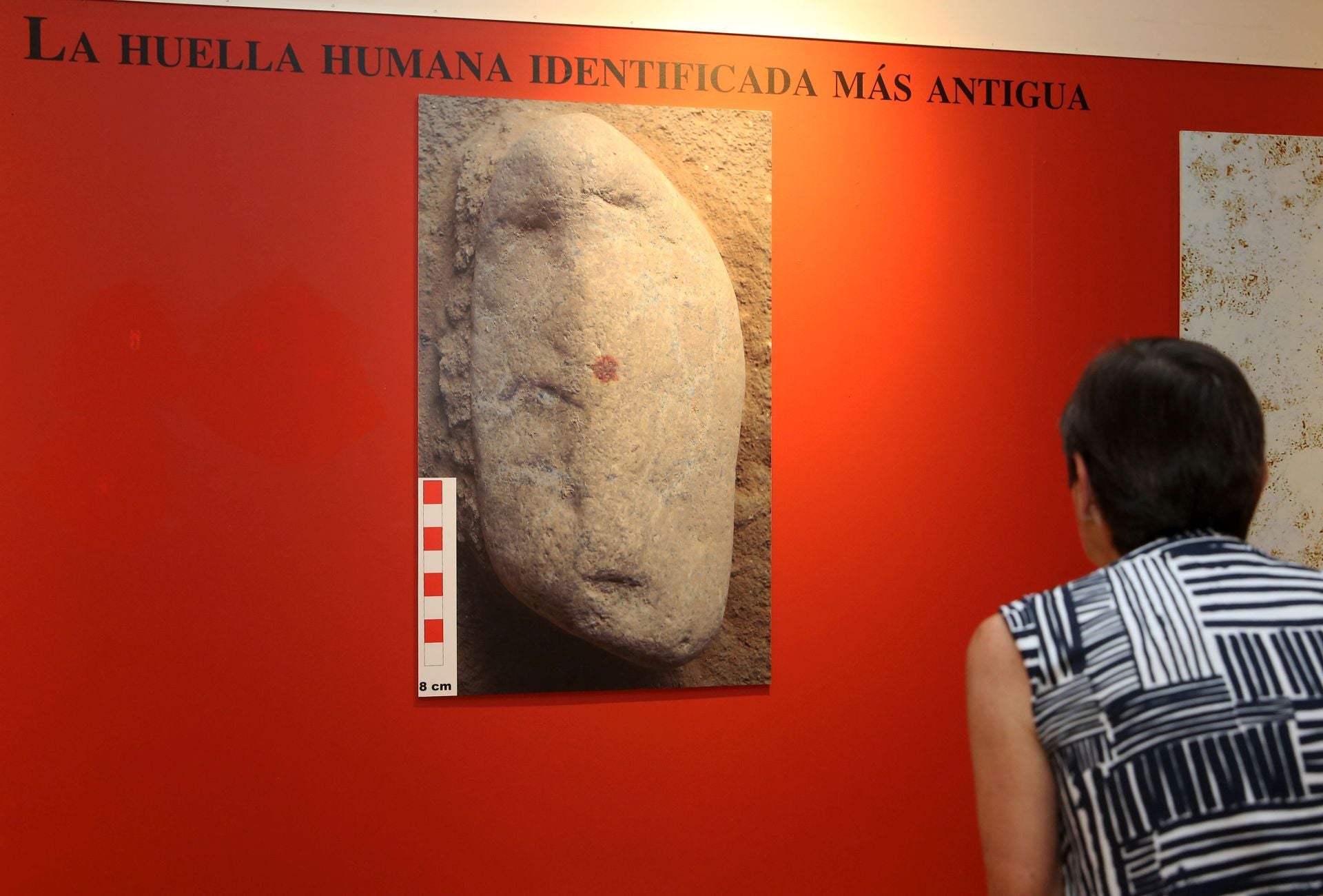 La exposición de la huella más antigua del mundo, en imágenes