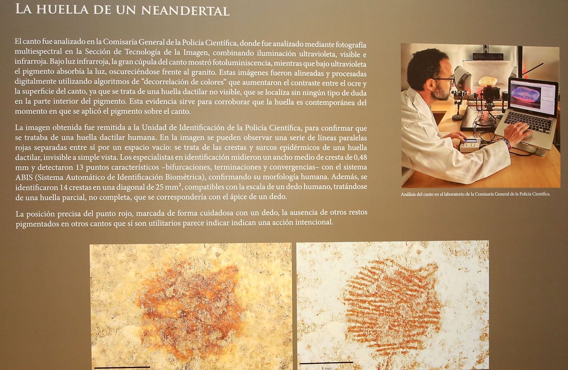 La exposición de la huella más antigua del mundo, en imágenes