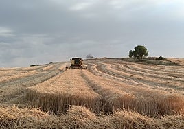 Las organizaciones agrarias advierten de la «nefasta» propuesta de Europa para la PAC