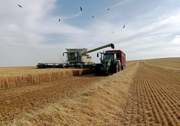 La región perdería 200 millones anuales de ayudas directas con la propuesta para la futura PAC