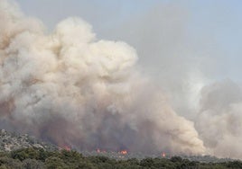 La columna de humo que ha causado el incendio en Navaluenga, Ávila.